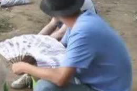 临港专业讨债公司有哪些核心服务？